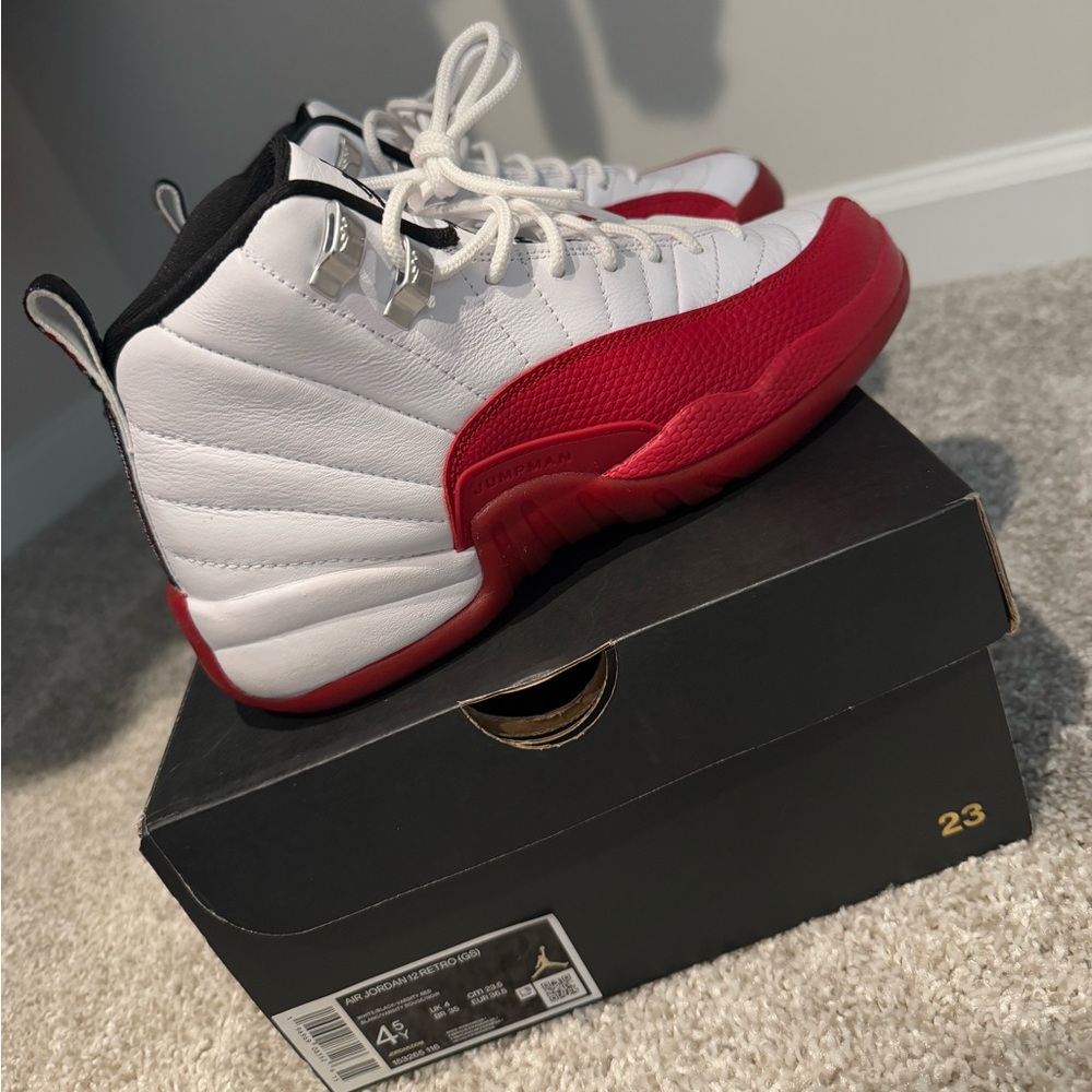 Jordan Cherry 12s